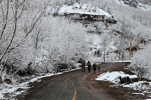 Winter